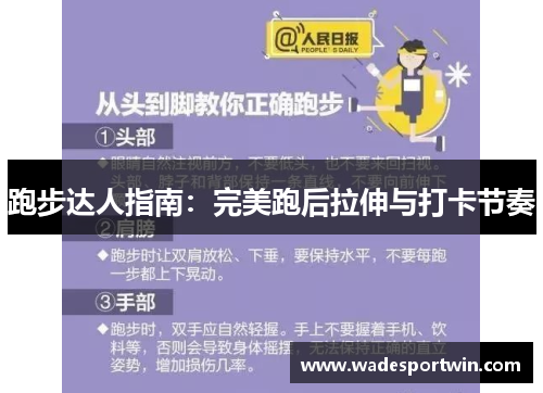 跑步达人指南：完美跑后拉伸与打卡节奏