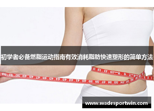 初学者必备燃脂运动指南有效消耗脂肪快速塑形的简单方法