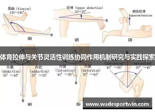 体育拉伸与关节灵活性训练协同作用机制研究与实践探索